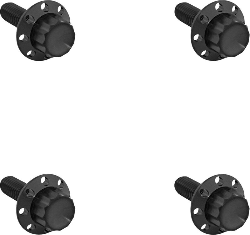 BOLT KIT TITANIUM - FLHX 24-25