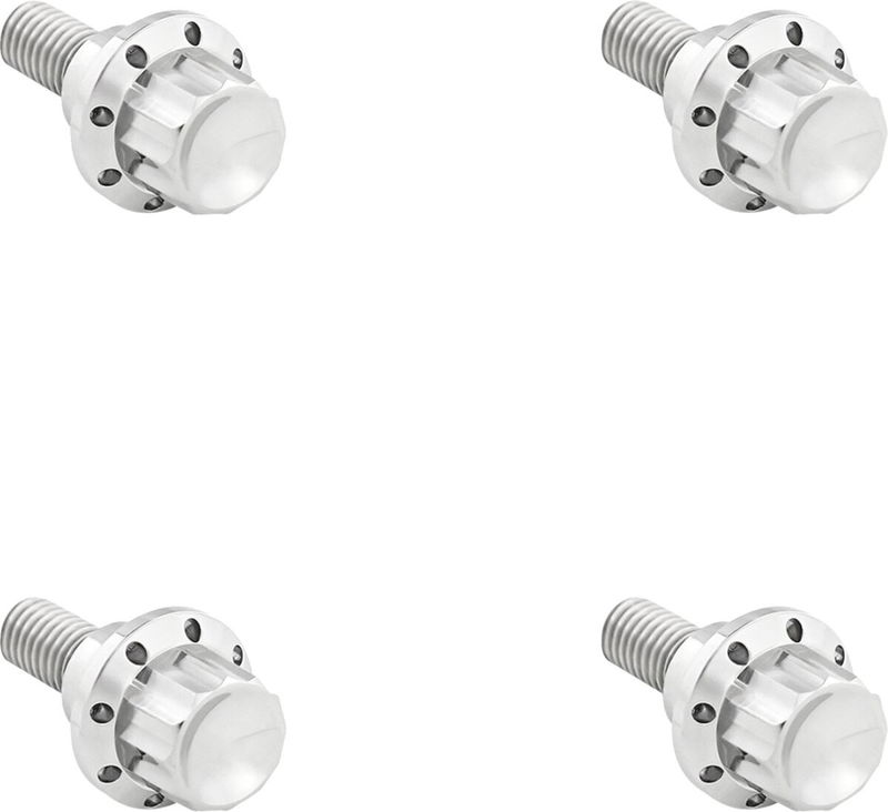 BOLT KIT TITANIUM - FLTR 23-25