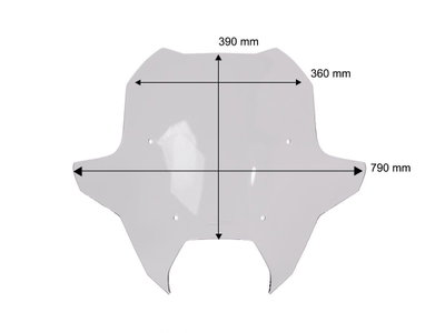 WINDSCREEN SPORT BMW R1300RT D