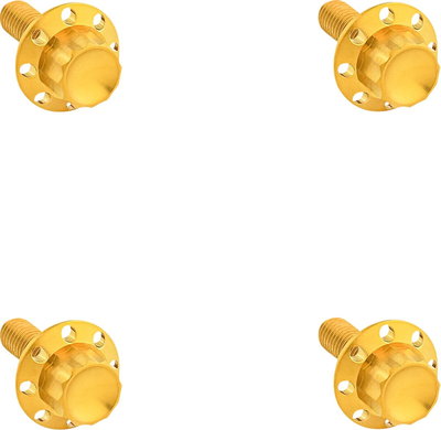 BOLT KIT TITANIUM - FLHX 24-25