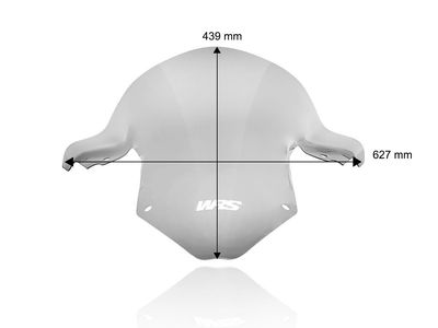 WINDSCREEN RACE S1000RR/M1000