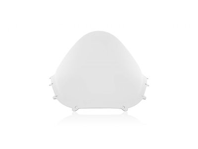 WINDSCREEN RACE DUC PANIGALE V