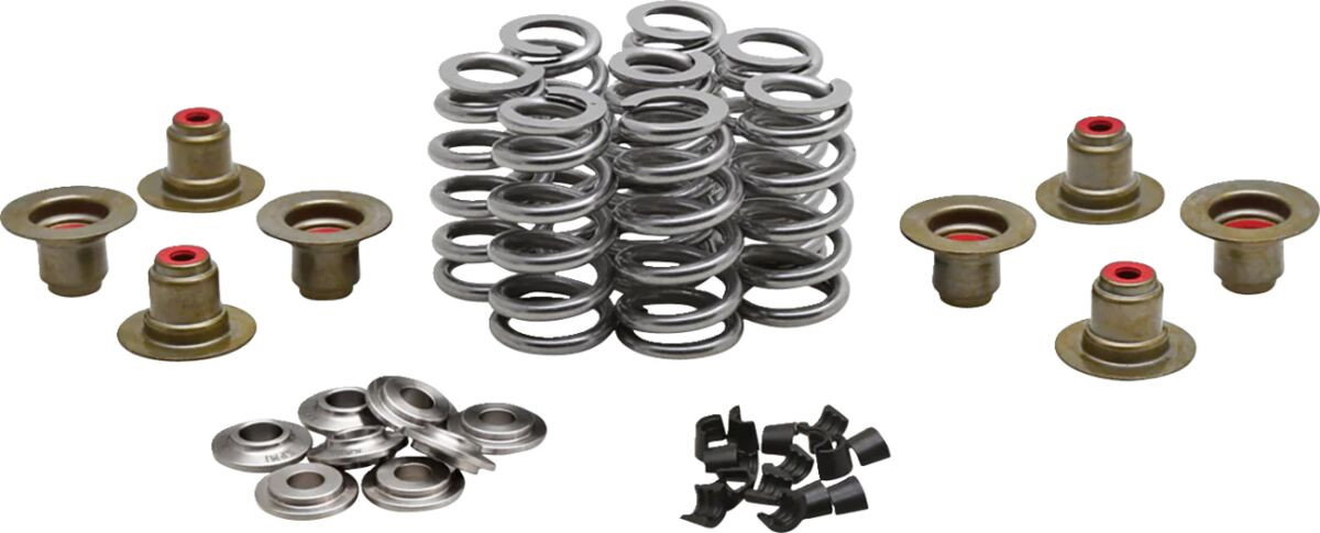 BEEHIVE VALVE SPRING KIT 0.640