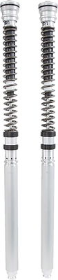CARTRIDGE DUCATI TTX25S FKR 11
