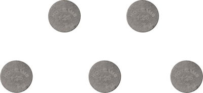 VALVE SHIM 5PK 9.48X1.25