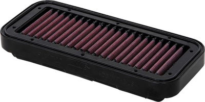 AIR FILTER INDIAN CHLNGR