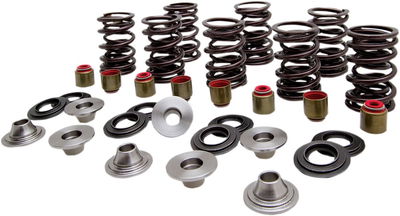 SPRING KIT VALVE TI RZR