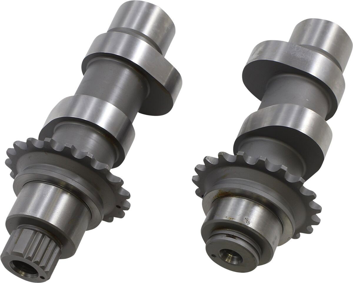 CAMS 55H 06DYNA 07-17 TC