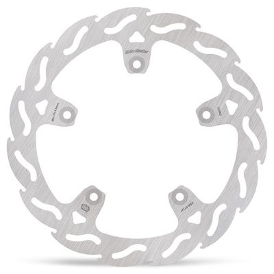 BRAKE DISC FLAME REAR