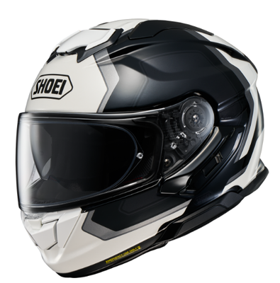 GT-AIR3 REALM TC-5 [ L ]