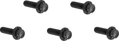 BOLT KIT TITANIUM - M8 17-UP -