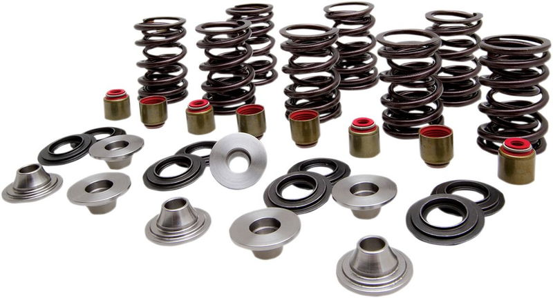 SPRING KIT VALVE TI RZR