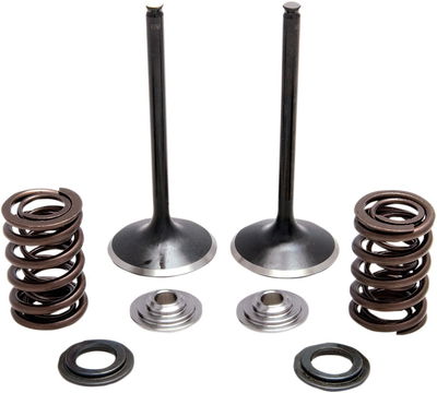 SPRING KT INT TRX450R 04-
