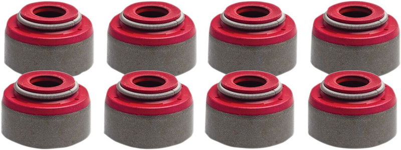 SEAL VLV GD KTM/HUS 8/PK