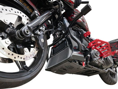 PLATE SKID CARBON FORGED W/RED