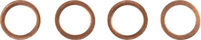 Stainless Steel Braided Brake