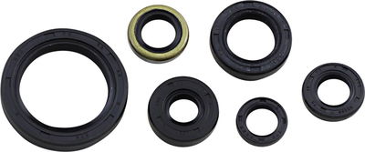 SEAL OIL SET KLX250