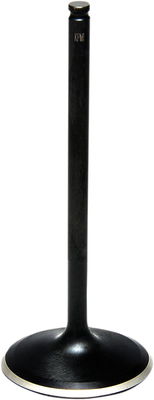 VLV IN STD RZR1000 15-21