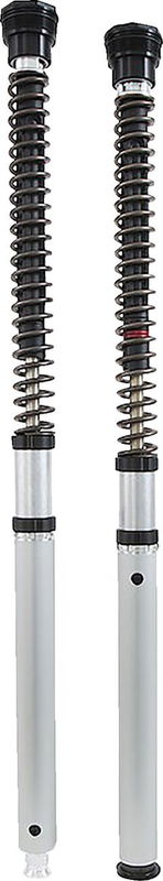 CARTRIDGE DUCATI SCRAMBLER NIX