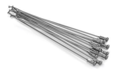 SPOKES 19 RR SI /SI NIP 12PC