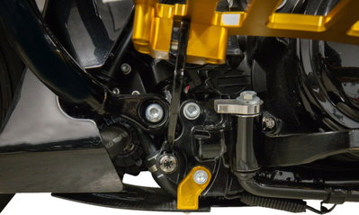PLATE SKID CARBON GLOSS W/GOLD