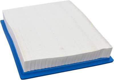 AIR FILTER FILTER RZR900