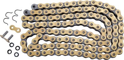CHAIN RT520RR4SRS GB 120RH