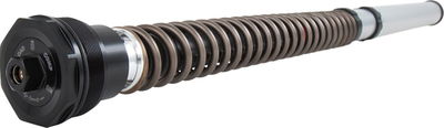 CARTRIDGE BMW R NINE T NIX30 F