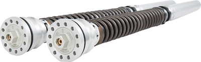 CARTRIDGE DUCATI TTX25S FKR 11