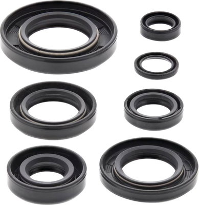 Oil Seal Kit