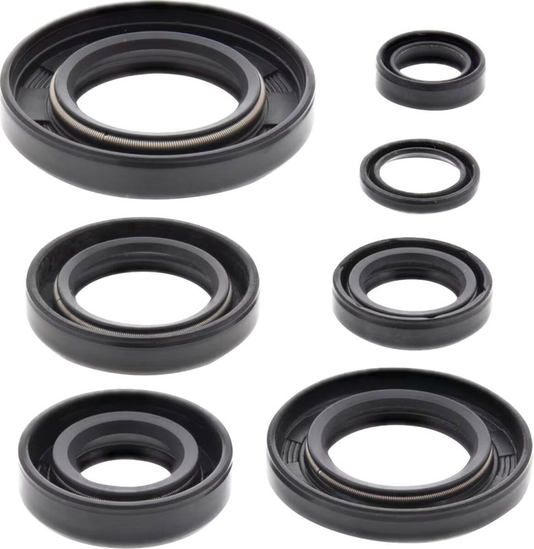 Oil Seal Kit