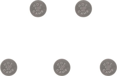 VALVE SHIM 5PK 8.90X2.00