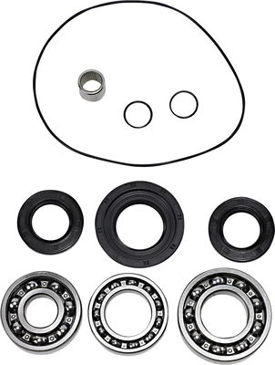DIF BEARING SEAL KIT RR