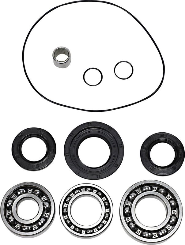 DIF BEARING SEAL KIT RR