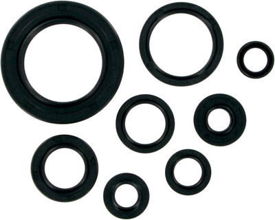 MSE MTR SEALS CR250/500