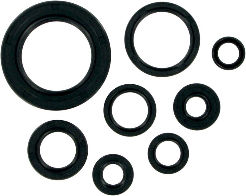 MSE MTR SEALS CR250/500