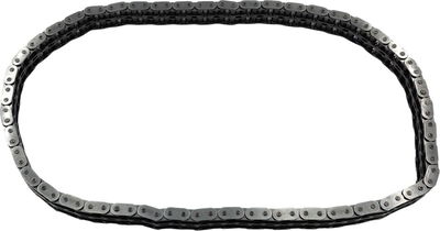 CHAIN PRIMARY 80-06 FLT/FXR -