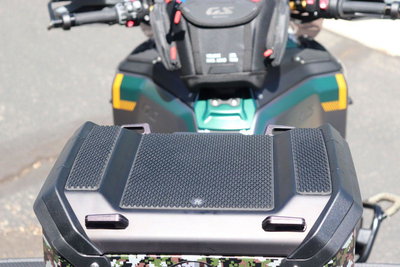 BMW R1300 GSA 25-26 Tail Section Snake Skin Pannier Guards