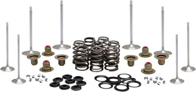 VALVE KIT COMP M8 17-19