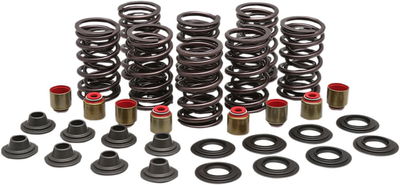SPRING KIT VALVE STL RZR