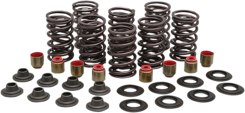 SPRING KIT VALVE STL RZR