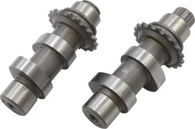 CAMS 31H 06DYNA 07-17 TC