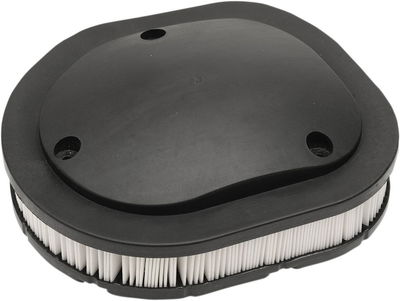FILTER AIR INDIAN 5813976