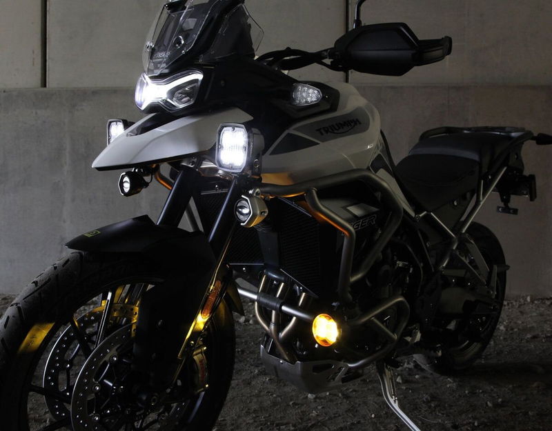 CANSMART GEN II TRIUMPH TIGER