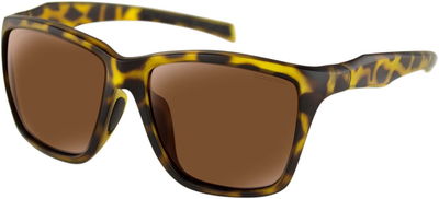 SUNGLASSES ANCHOR BROWN