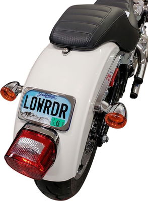 MOUNT LIC PLT RADIUS WIDE