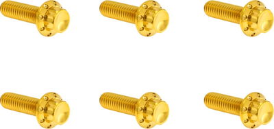 BOLT KIT TITANIUM - TC&M8 07-2