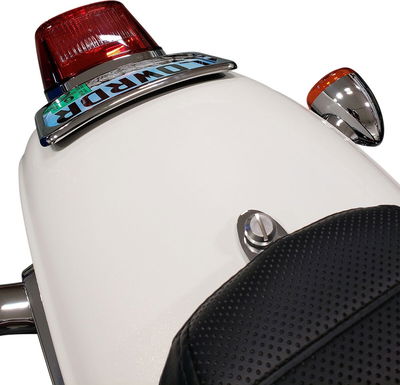 MOUNT LIC PLT RADIUS WIDE