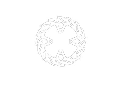 BRAKE DISC FLAME REAR
