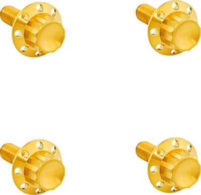 BOLT KIT TITANIUM - FLTR 15-23